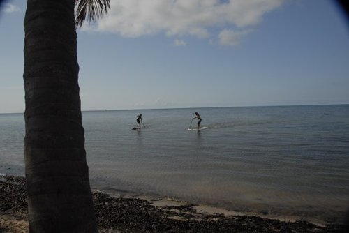 Pcvb3's profile picture. 