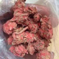 janis milner (@antbreeder) 's Twitter Profile