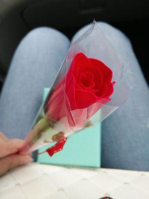 wtj20082008's profile picture. 