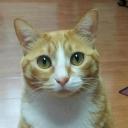 김건 (@01077282271) Twitter