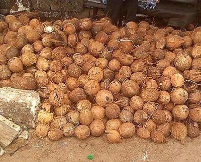 We make and sell coconut oil and sheabutter , export and import try us and see a change