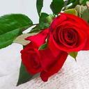 Annapurna Sinha (@05c84eaccb76450) Twitter