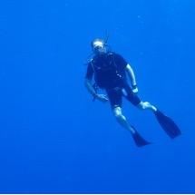 8rendan's profile picture. Luton Town FC….   COYH