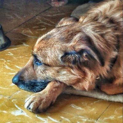 DanTheNo2's profile picture. Bio... ¿Que?