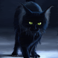 wiki_funzone's profile picture. 