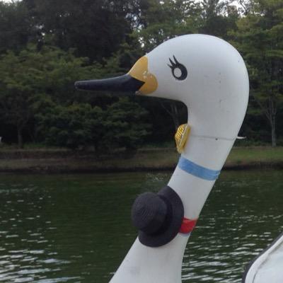 kasashipoke's profile picture. 