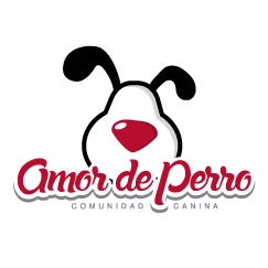 Tips, consejos, Salud, entretención, vídeos y todo lo que necesitas saber para el cuidado de tu regalón... #AmorDePerro