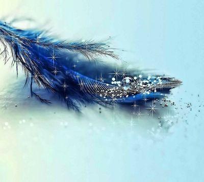 vickysahodh's profile picture. 