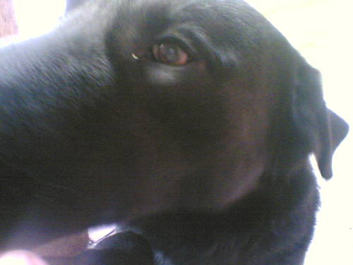 Otroseba's profile picture. 