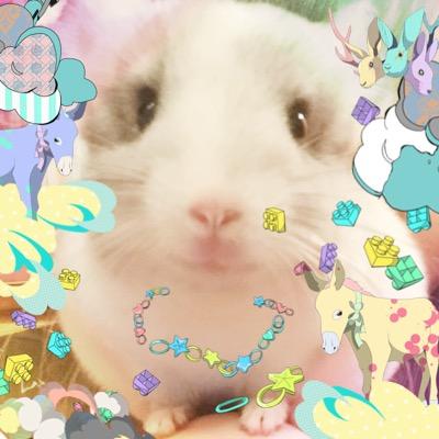 Rikaさんのプロフィール画像