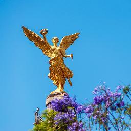 CDMXGuia's profile picture. Guía de eventos culturales en la Ciudad de México