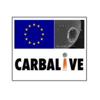 CARBALIVE(@carbalive) 's Twitter Profile Photo