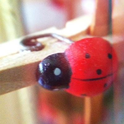 hairytoephotos's profile picture. Instagram: laydeebyrd. London/Essex based photographer, Nikon, iPhone & analogue. https://t.co/5UIxYKl1h7