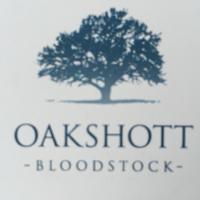 Oakshott(@OakshottBS) 's Twitter Profile Photo