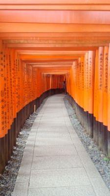 いぶき🪷さんのプロフィール画像