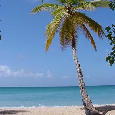 TravelTipsByMe's profile picture. travel tips i thought of when ive been travelling n stuff ive heard n seen too . here for the people !