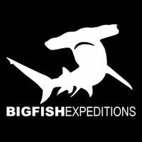 Big Fish Expeditions(@BigFishTrips) 's Twitter Profile Photo