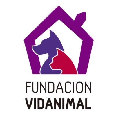 Hacemos charlas y talleres gratuitos, entregando herramientas para que la gente sea más responsable, promoviendo así la tenencia responsable y la cultura animal