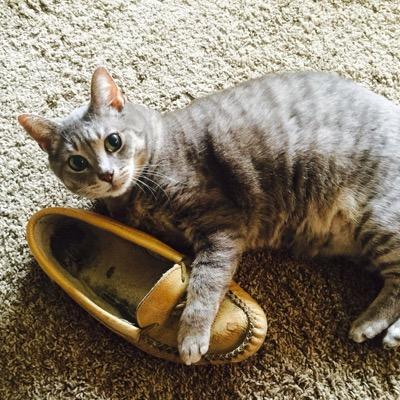 JRyp6's profile picture. 