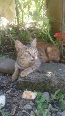 mojtaba13601's profile picture. 