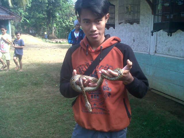 ayatno73_yatno's profile picture. 