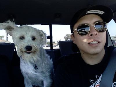 blazenrolis's profile picture. live like it's 4:19