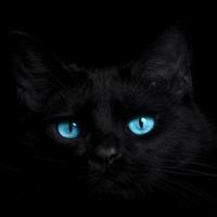 Йïģнτмaяε (@inabaddream) 's Twitter Profile Photo Йïģнτмaяε (@inabaddream) 's Twitter Profile Photo