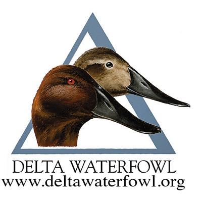 Delta Waterfowl 
Mississippi State Chapter