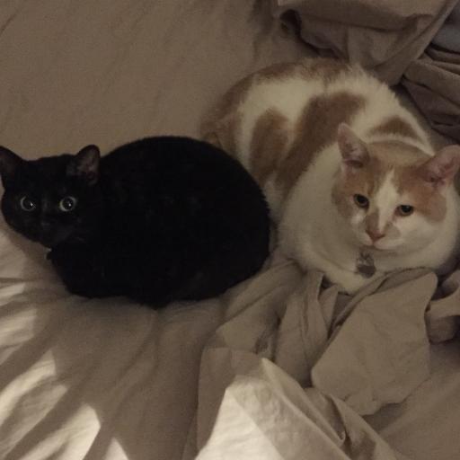 wraith1385's profile picture. 