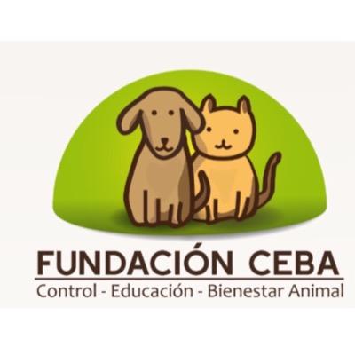 Fund Ceba desde 2005 evitar maltrato y abandono animal a través de educación y prevención:esterilizar. #NoalRodeo #circosSinAnimales #tenenciaResponsable Chile