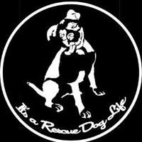 itsaRescueDoglife(@RescueDogLife) 's Twitter Profileg