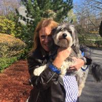 cindy shmerler (@shmerlsc) 's Twitter Profile