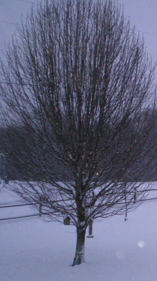 gfwasham's profile picture. Boldly living life one task at a time.