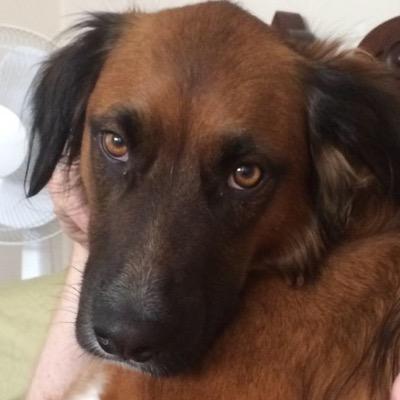 yeah_huh_stupid's profile picture. Derp