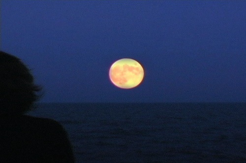 MyMoonDiary's profile picture. A documentary film 
Wondering about life's big questions.