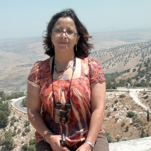 Professor art & arch. Human Rights Advocate. Environmental Design Scholar. Community Member. Spatial & Cultural Agency