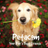 petacomindia's profile image