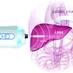 FibroScan (@fibroscan) Twitter profile photo FibroScan (@fibroscan) Twitter profile photo