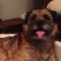Freddie Boy (@rubylicious_x) 's Twitter Profile