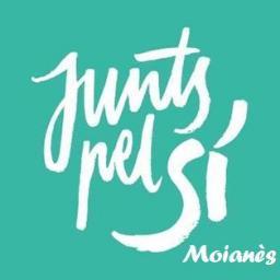 JuntsMoianes's profile picture. 