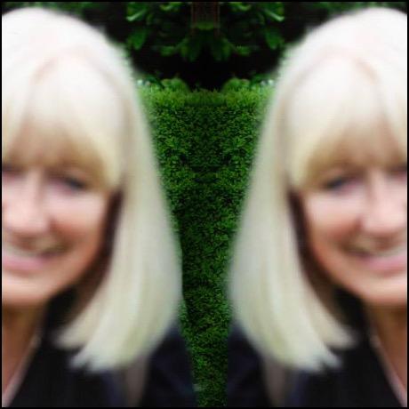 lesleychalmers's profile picture. Tea-drinking oldie, enthusiastic student. Striving for serenity. Love light, big skies, new challenges, simple pleasures, laughter. Hate rushing.