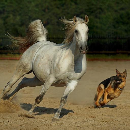 PortMoresby2's profile picture. 