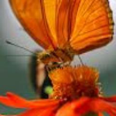 mdkiron50's profile picture. 