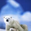 secewandomb's profile picture. A three-year diet of rubber chicken and occasional crow.