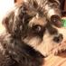 Evelyn Ducote (@finecraft913) Twitter profile photo Evelyn Ducote (@finecraft913) Twitter profile photo