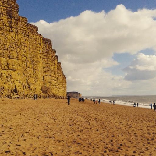 SocSci7's profile picture. 