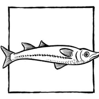 SoloPesca (@solopesca) 's Twitter Profile
