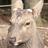 nandamon's profile image