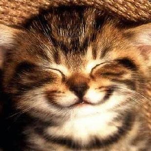 Any glimpse into the life of an animal quickens our own and makes it so much the larger and better in every way.