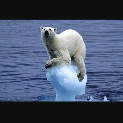 helpanimals2000's profile picture. 